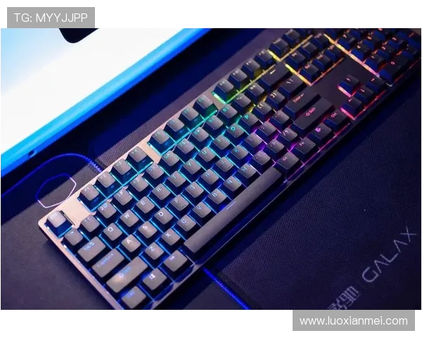 DOTA2装备选购指南:适合游戏的机械键盘推荐与评测分析 DOTA2装备选购指南:适合游戏的机械键盘推荐与评测分析
