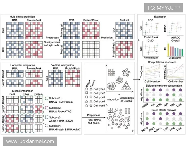 V5在冠军杯中的心理素质分析与表现评估