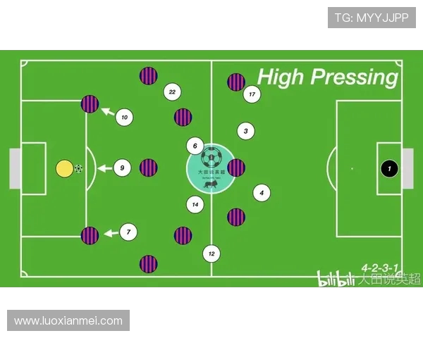 上海排球队区域防守策略深度剖析与战术解析