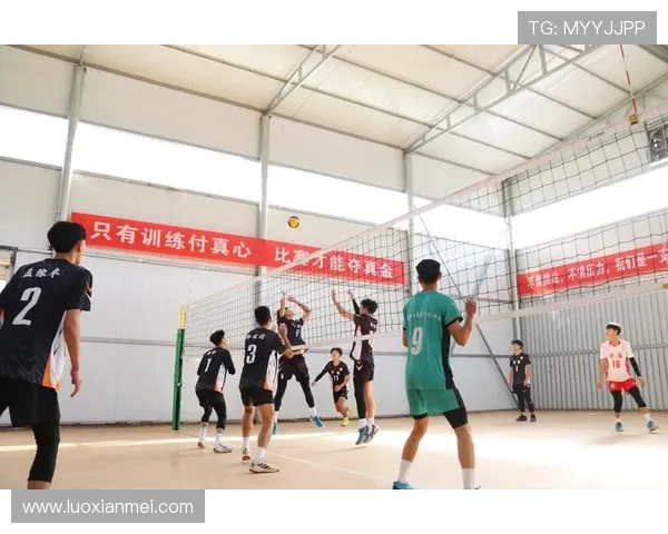 上海排球队荣登排球耐力排行榜第一名引发热议