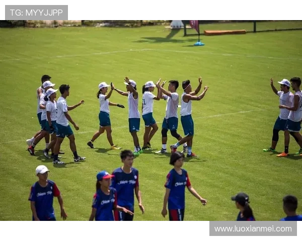 上海飞盘队的团队协作探索与飞盘运动的魅力结合