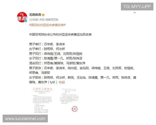 杭州羽毛球队意识对比深度剖析与发展潜力探讨