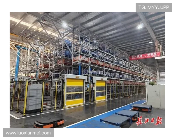 武汉篮球队重塑辉煌的反击革新之路与未来展望 武汉篮球队重塑辉煌的反击革新之路与未来展望