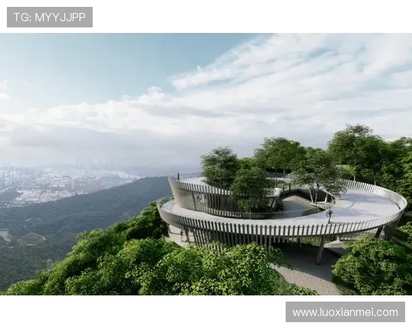 深圳极限运动队整体压制现象分析与发展趋势探讨 深圳极限运动队整体压制现象分析与发展趋势探讨