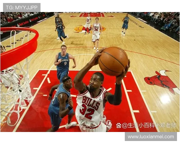 捷克与荷兰在东莞市的精彩对决引发球迷热议与期待