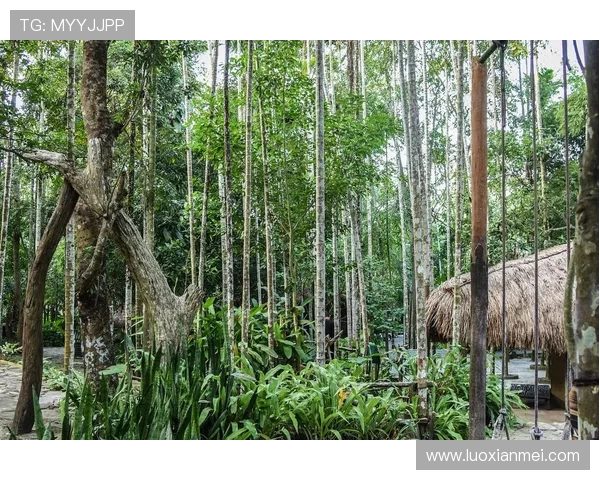 探索摩尔特里之美:自然风光与人文魅力的完美结合 探索摩尔特里之美:自然风光与人文魅力的完美结合