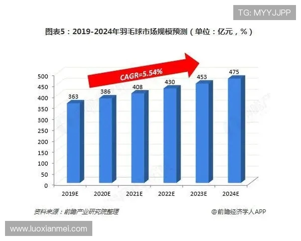 重庆羽毛球队的运营揭秘与深度分析探讨羽毛球运动的未来发展方向
