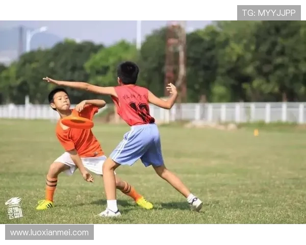 成都飞盘队力量表现数据分析揭示运动员潜力与团队协作的关键因素