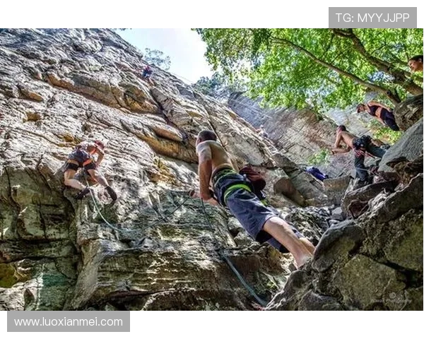 攀登梦想的巅峰上海攀岩队在极限运动会中的奋斗与荣耀