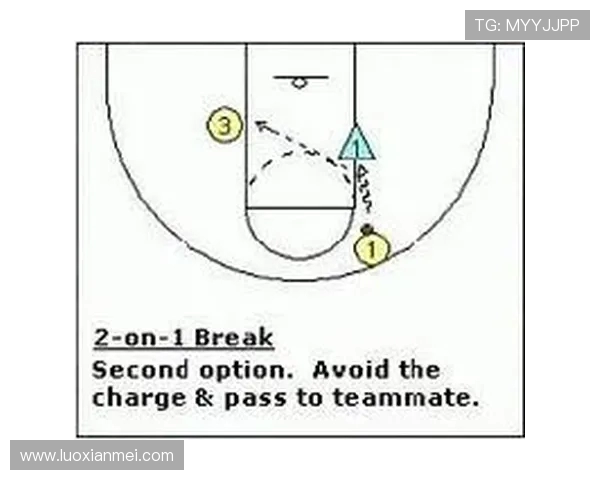 杭州排球队快攻战术解析与技术优势探讨