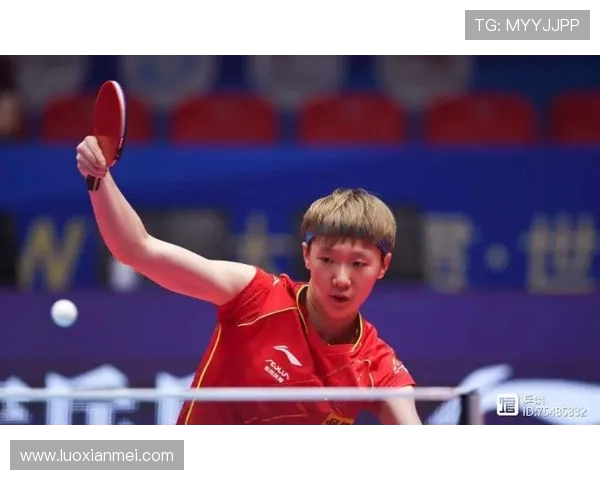 杭州篮球队技术对比深度解析与战术优势剖析